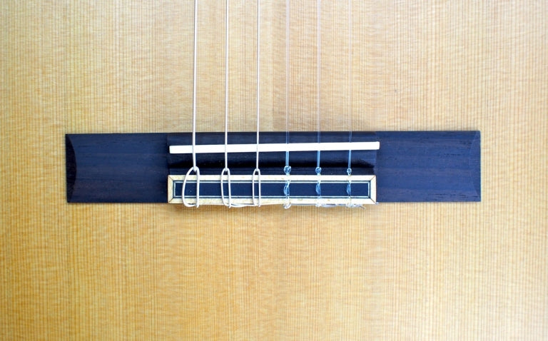 Journey Instruments - OC522C - Solid Cedar / Solid Pau Ferro Classical Travel Guitar