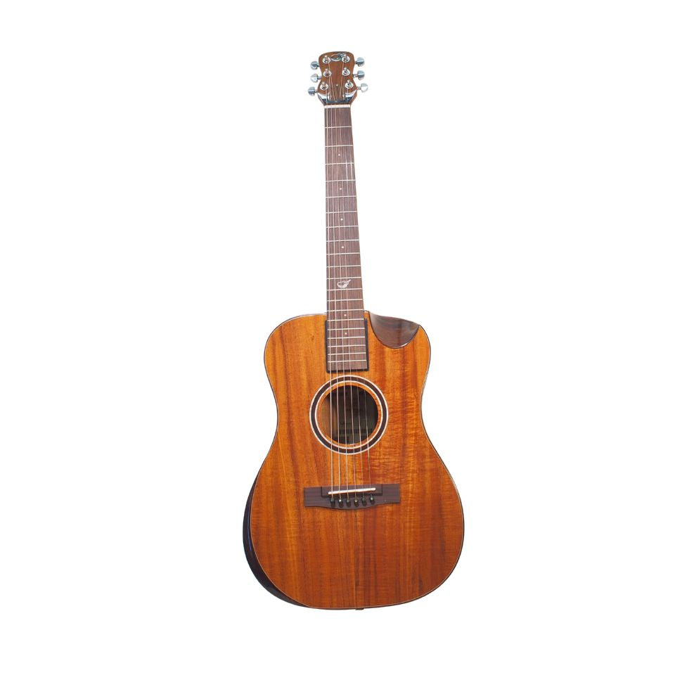 Journey Instruments - OF882C - Solid/Back Koa