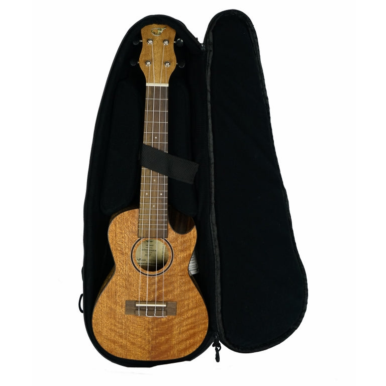 UC770CE Journey Meranti Concert Uke