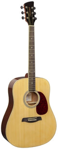 Brunswick BD200 - Dreadnought - Natural